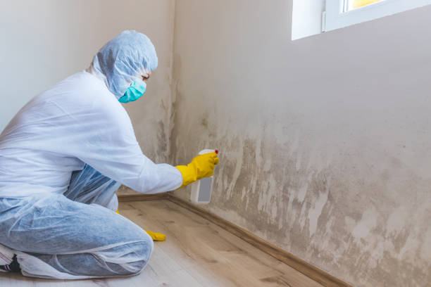 Mold Remediation specialist working in Myerstown