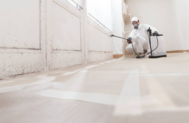 Black mold remediation team in Myerstown
